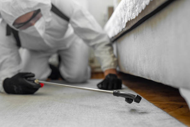 Professional Pest Control technician working in Curry County County, OR